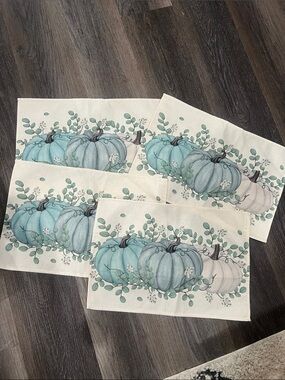 (24) New Aqua & Pale Blue Pumpkin Placemat Set - Farmhouse Fall Decor
